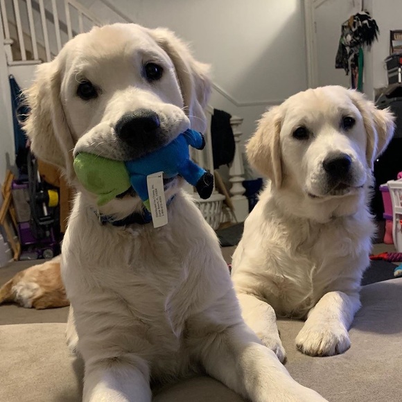 Please Read description🐾💙💚 - Picture 2 of 13